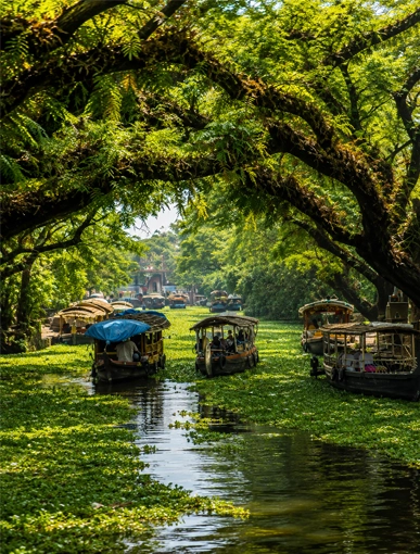 Kerala Honeymoon Image